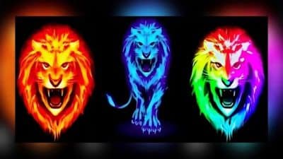 Test de personnalité : choisissez un lion pour découvrir votre philosophie de vie
