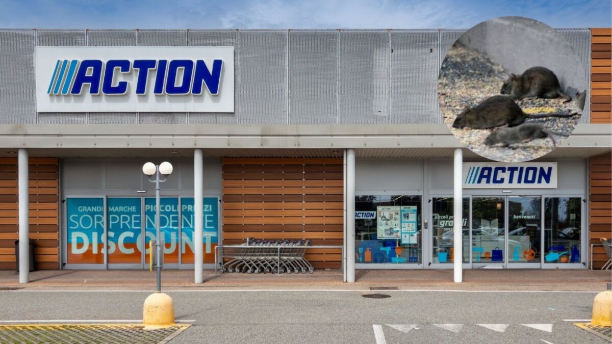 Un magasin de la firme Action a dû être fermé pour cause d'infestation de rats.