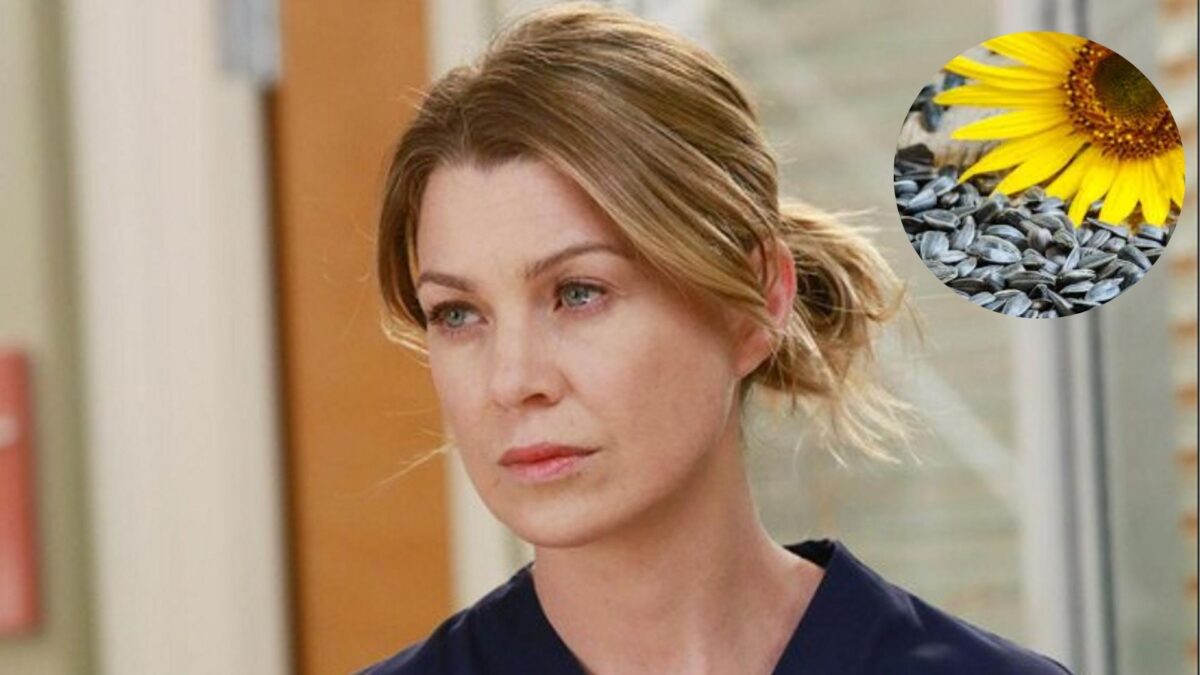 Ellen Pompeo a été interpellé par des gents de sécurité pour de simples graines tournesol.