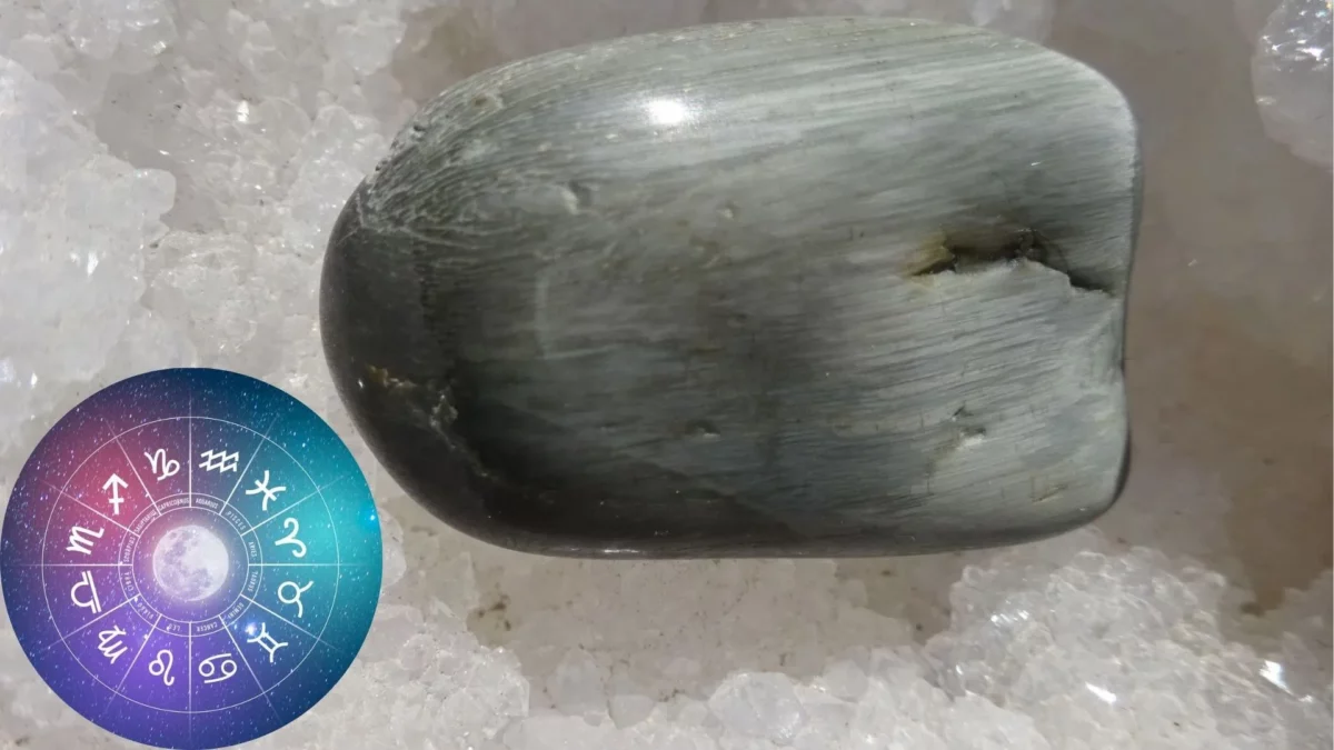 L'œil de chat possède de nombreuses vertus surprenantes.