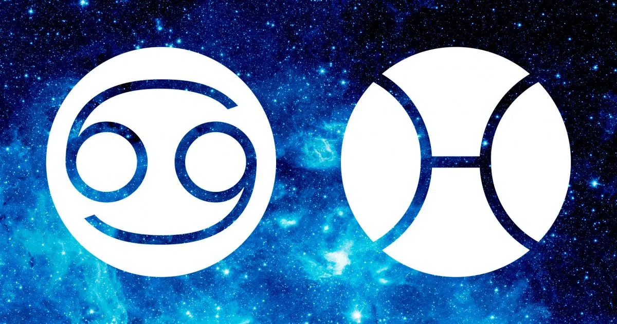 Les natifs du cancer et du poissons sont très complices.